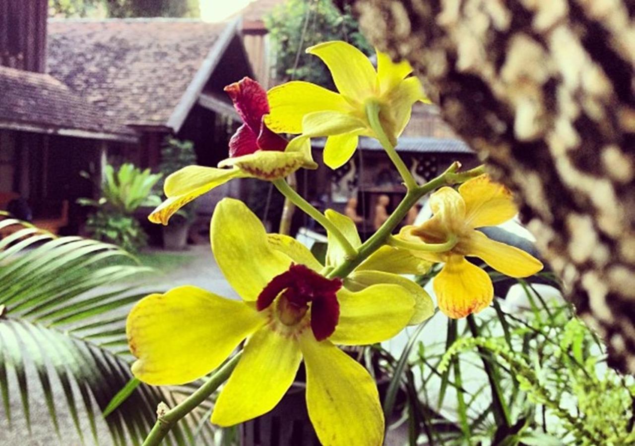 Tanita House Bed & Breakfast Chiang Mai Luaran gambar